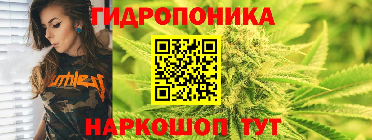 Бошки марихуана OG Kush Новочеркасск